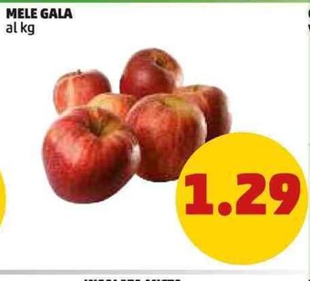 PENNY MELE GALA al kg offerta