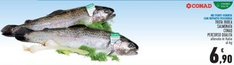 Conad TROTA IRIDEA SALMONATA CONAD offerta
