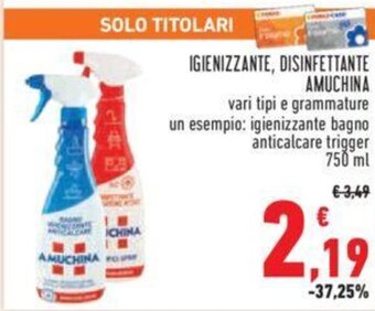 Conad IGIENIZZANTE, DISINFETTANTE AMUCHINA 750 ml offerta