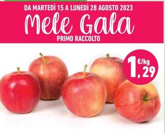 Conad Mele offerta