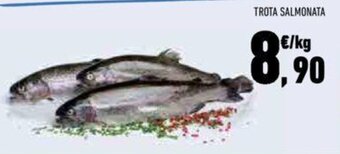 Conad TROTA SALMONATA offerta