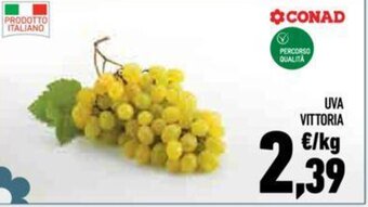Conad UVA VITTORIA offerta