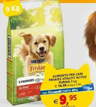 Il Gigante Purina Friskie Alimento Per Cani offerta