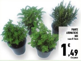 Conad Superstore PIANTE AROMATICHE MIX vaso l 14cm offerta