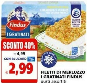 Il Gigante Findus Filetti Di Merluzzo I Gratinati offerta