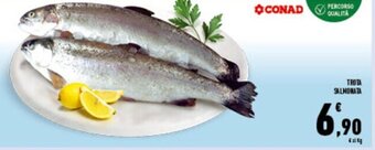 Conad Superstore TROTA SALMONATA offerta