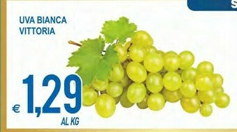 MD Discount Uva offerta
