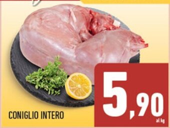 Conad Superstore CONIGLIO INTERO offerta