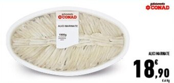 Conad Superstore ALICI MARINATE offerta