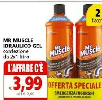 Il Gigante Mr Muscle Idraulico Gel offerta