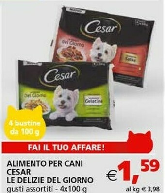 Il Gigante Cesar Alimento Per Cani offerta
