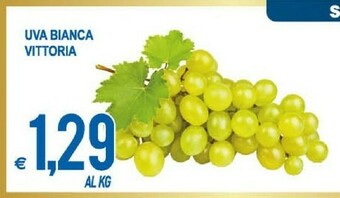 MD Discount Uva offerta
