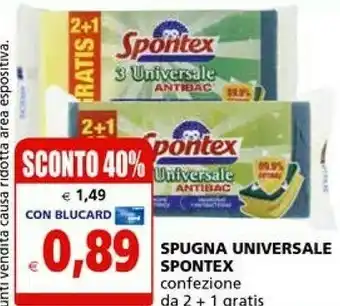 Il Gigante Spontex Spugna Universale offerta