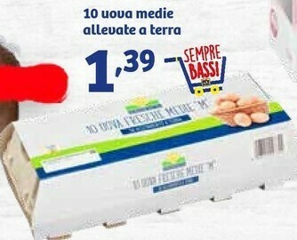 In'S Mercato 10 Uova Medie Allevate A Terra offerta
