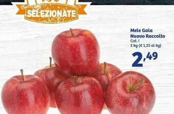 In'S Mercato Nuovo Raccolto Mele Gala offerta