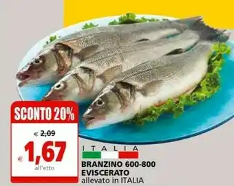 Il Gigante Branzino 600-800 Eviscerato offerta