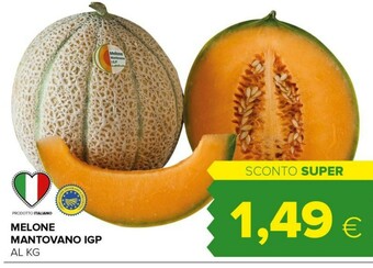 Tigre Melone Mantovano Igp offerta