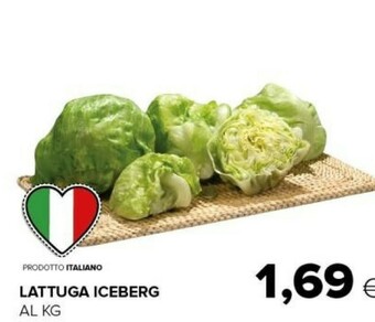 Tigre Lattuga Iceberg offerta