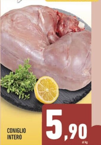 Conad City CONIGLIO INTERO offerta