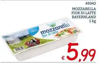 Conad City Galbani formaggini crema bel paese offerta