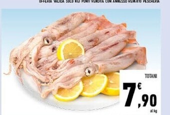 Conad Totani offerta