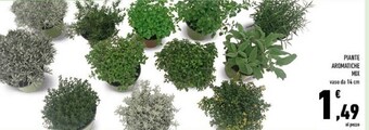 Conad Piante aromatiche mix offerta