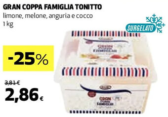 Coop GRAN COPPA FAMIGLIA TONITTO 1 kg offerta