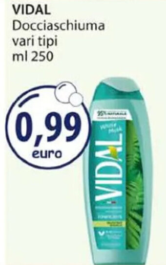 Acqua & Sapone VIDAL Docciaschiuma vari tipi ml 250 offerta