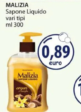Acqua & Sapone MALIZIA Sapone Liquido vari tipi ml 300 offerta