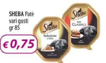 Acqua & Sapone SHEBA Pate vari gusti gr 85 offerta