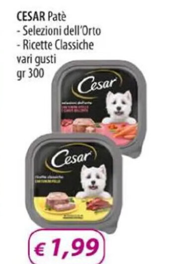 Acqua & Sapone CESAR Patè - Selezioni dell'Orto - Ricette Classiche vari gusti gr 300 offerta