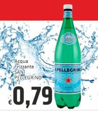 Paghi Poco Acqua Frizzante SAN PELLEGRINO Lt 1 offerta