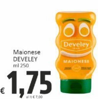 Paghi Poco Maionese DEVELEY ml 250 offerta
