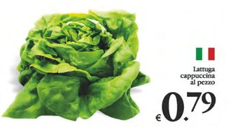 Lattuga cappuccina al pezzo