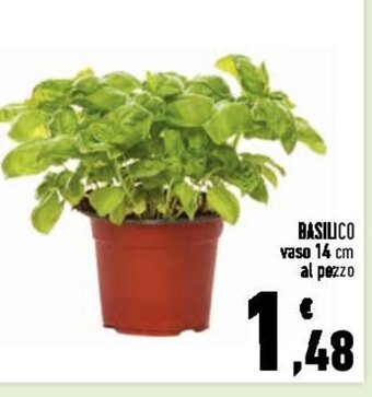 Conad BASILICO vaso 14 cm al pezzo offerta