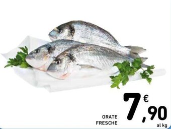Conad ORATE FRESCHE offerta