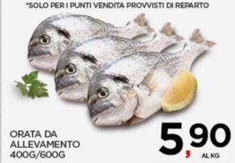 Interspar ORATA DA ALLEVAMENTO 400G/600G offerta