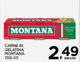 Interspar CARNE IN GELATINA MONTANA 70G X3 offerta