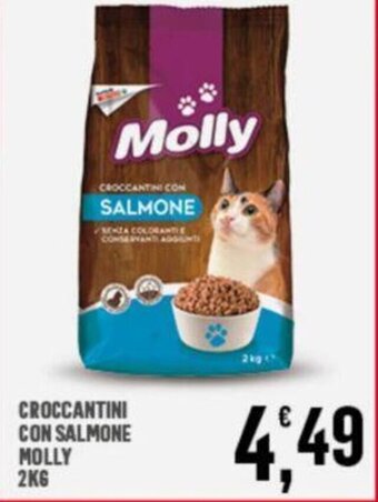 Interspar CROCCANTINI CON SALMONE MOLLY 2KG offerta