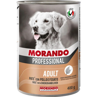 Ayoka Morando offerta