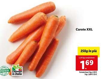 Lidl Carote XXL 1,25 kg confezione offerta