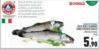 Conad Superstore Conad Trota Iridea Salmonata Percorso Qualita offerta