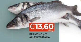 Mercatò Branzino 4/6 allevato italia offerta