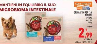 Conad CROCCANTINI PER CANI MINI ONE PURINA vari tipi 800 g offerta