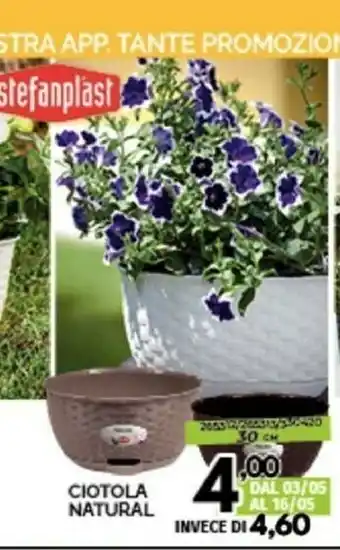 Orizzonte Stefanplast Ciotola Natural offerta