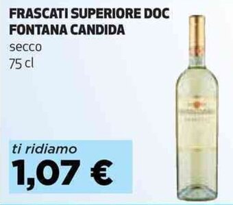 Coop FRASCATI SUPERIORE DOC FONTANA CANDIDA secco 75 cl offerta