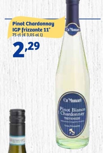 In'S Mercato Ca'munari pinot chardonnay igp frizzante 11° offerta