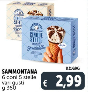 Deco Supermercati SAMMONTANA 6 coni 5 stelle vari gusti g 360 offerta