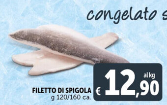 Deco Supermercati FILETTO DI SPIGOLA g 120/160 ca. offerta