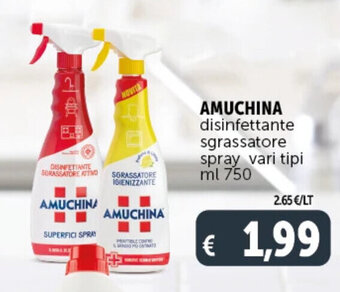 Deco Supermercati AMUCHINA disinfettante sgrassatore spray vari tipi ml 750 offerta